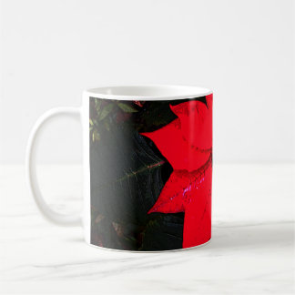Poinsettia 6078 coffee mug