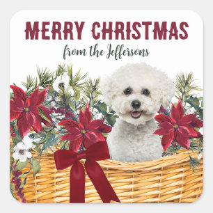 Poinsettia Bichon Frise Dog Christmas Basket Square Sticker