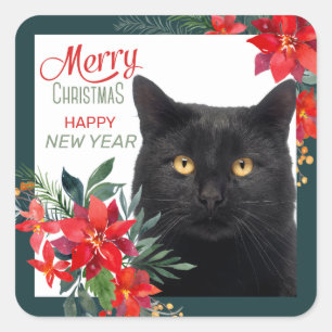 Poinsettia Border Black Cat Christmas Square Sticker