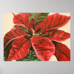 "Poinsettia" by Jenny Koch Poster
