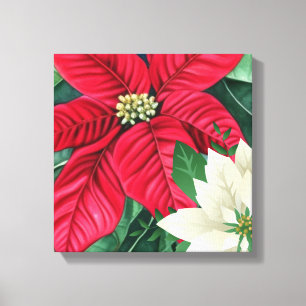 Poinsettia Canvas Print