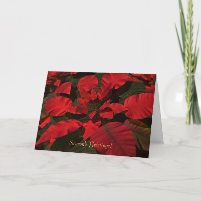 "Poinsettia" Christmas Card (Front)