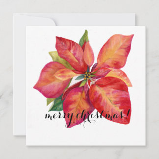 Poinsettia Christmas Card