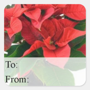 Poinsettia Christmas Gift Tag