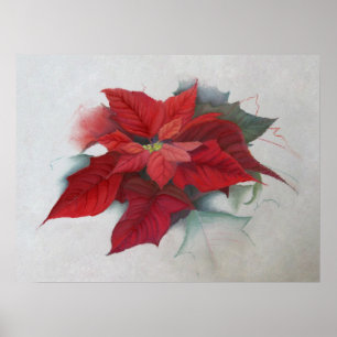 Poinsettia Christmas Oil Painting Poster