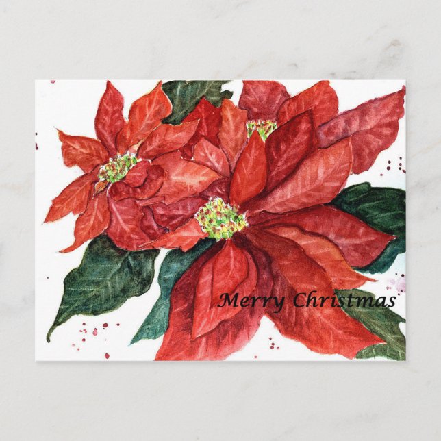 Poinsettia Christmas Postcard (Front)