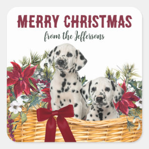 Poinsettia Dalmatian Puppies Christmas Basket Square Sticker