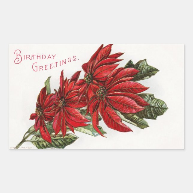 Poinsettia December Birthday Rectangular Sticker (Front)