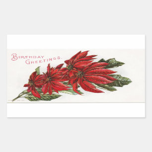 Poinsettia December Birthday Rectangular Sticker