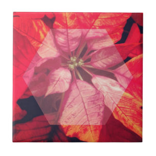 Poinsettia Digital Art Tile