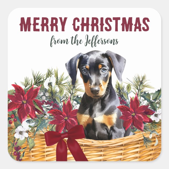 Poinsettia Doberman Pinscher Christmas Basket Square Sticker (Front)
