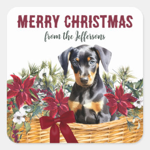 Poinsettia Doberman Pinscher Christmas Basket Square Sticker