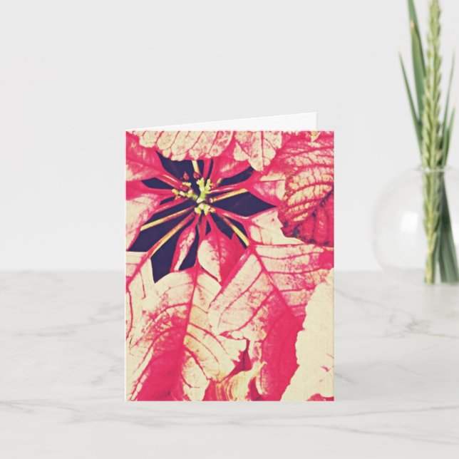 Poinsettia Flower Christmas Holiday Card (Front)