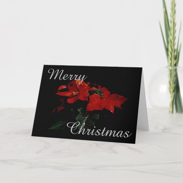 Poinsettia Flower Merry Christmas Family Message Holiday Card (Front)