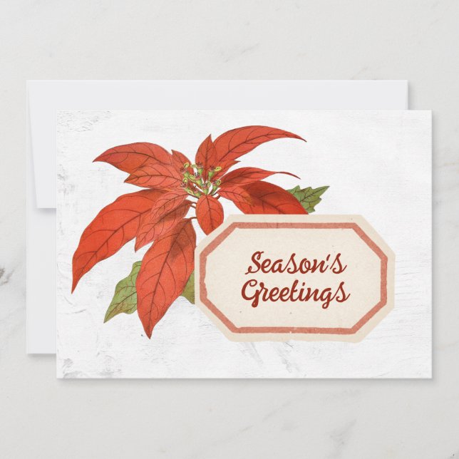 Poinsettia Flower Season's Greetings Christmas Red Holiday Card (Front)