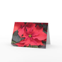 Poinsettia Greeting Card