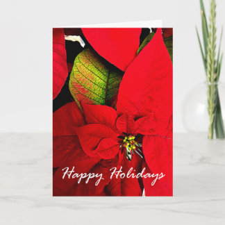 Poinsettia Holiday Greetings Card