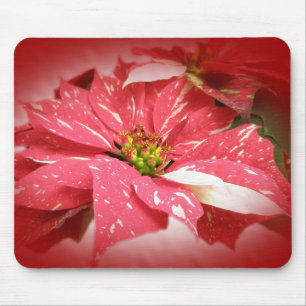 Poinsettia in Red and White Mouse Mat