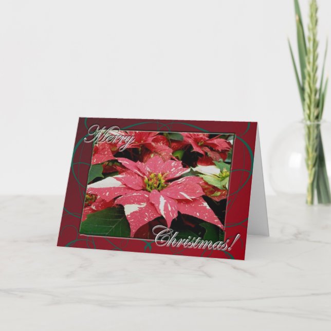 Poinsettia Merry Christmas Card (Front)