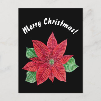 Poinsettia - Merry Christmas Postcard - Black