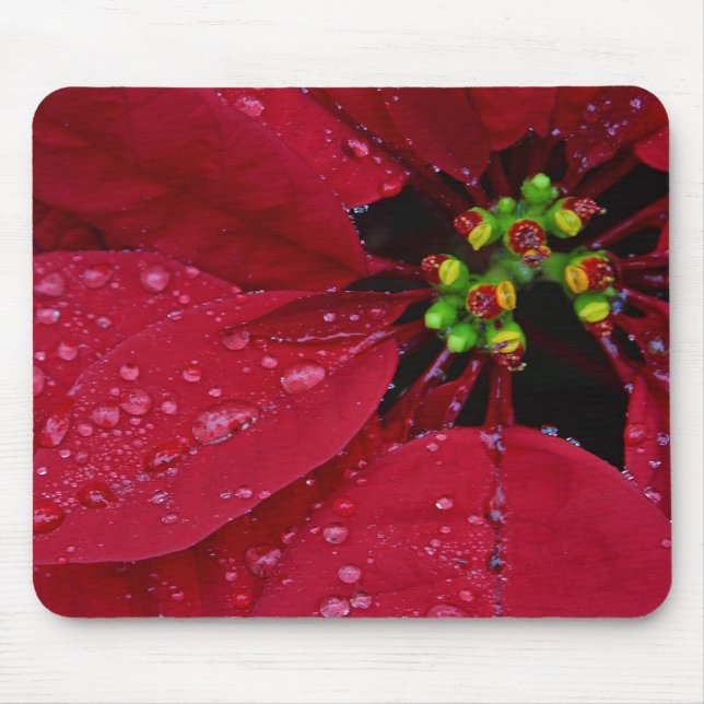 Poinsettia Mouse Mat (Front)
