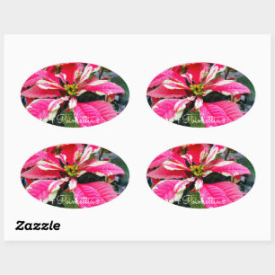 Poinsettia [Oval Seal] Oval Sticker