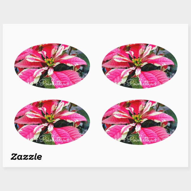 Poinsettia [Oval Seal] Oval Sticker (Sheet)