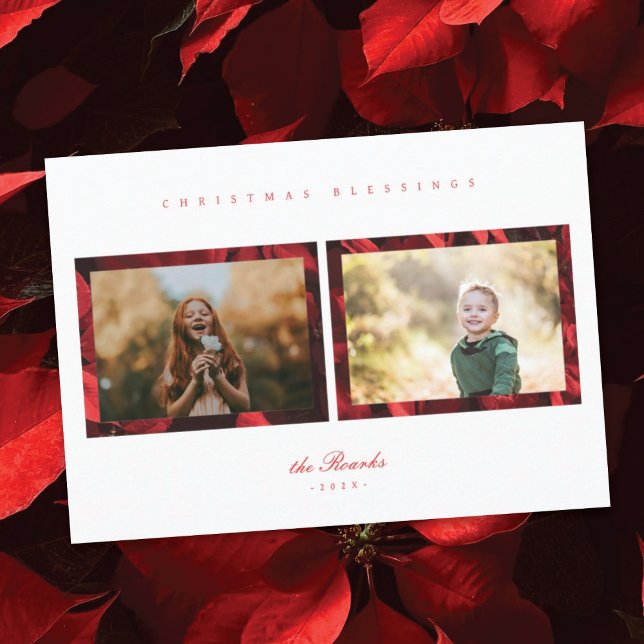 Poinsettia Petals Frame 2 Photo Christmas Card (Creator Uploaded)