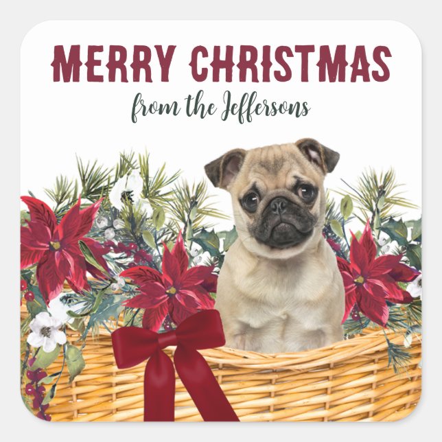 Poinsettia Pug Dog Christmas Basket Square Sticker (Front)