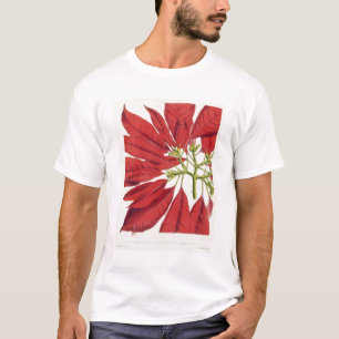 Poinsettia Pulcherrima (colour litho) T-Shirt