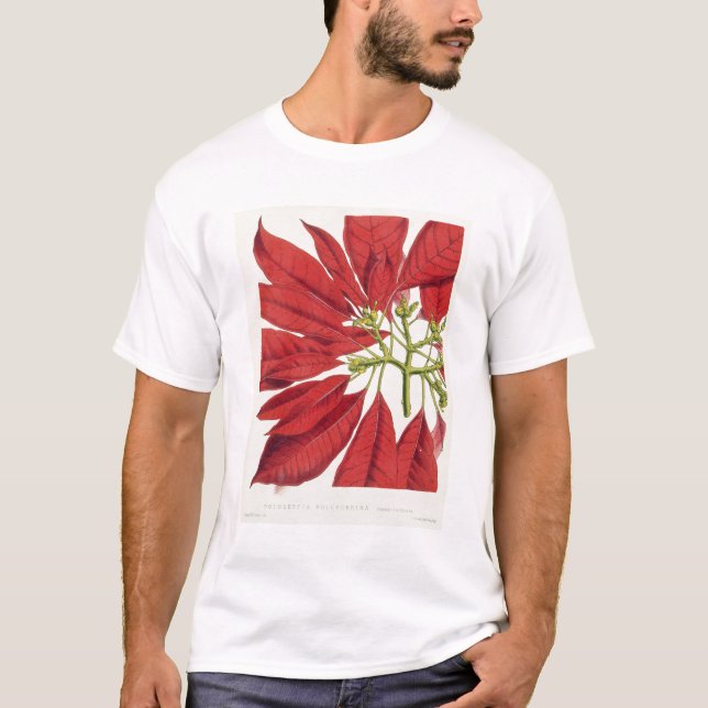 Poinsettia Pulcherrima (colour litho) T-Shirt (Front)
