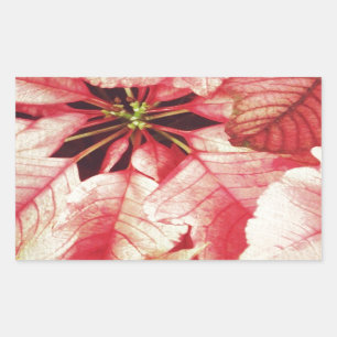 Poinsettia Rectangular Sticker