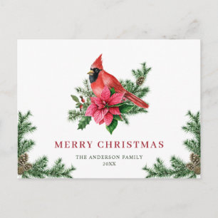 Poinsettia Red Cardinal Christmas Greeting Holiday Postcard