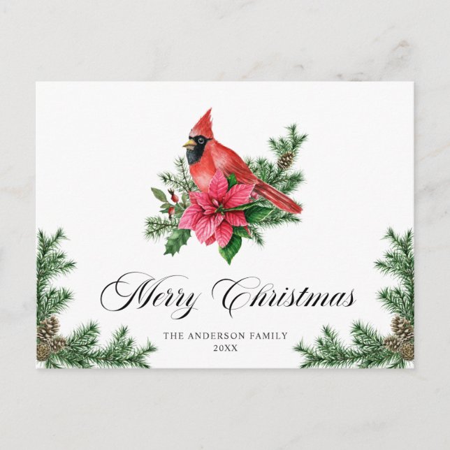 Poinsettia Red Cardinal Christmas Greeting Holiday Postcard (Front)