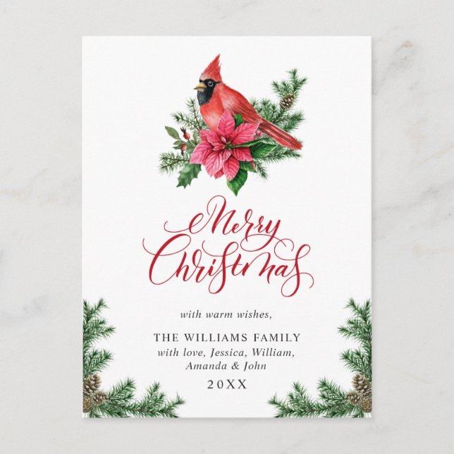Poinsettia Red Cardinal Christmas Greeting Holiday Postcard (Front)