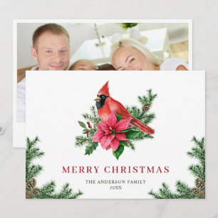 Poinsettia Red Cardinal Christmas Greeting PHOTO Holiday Card