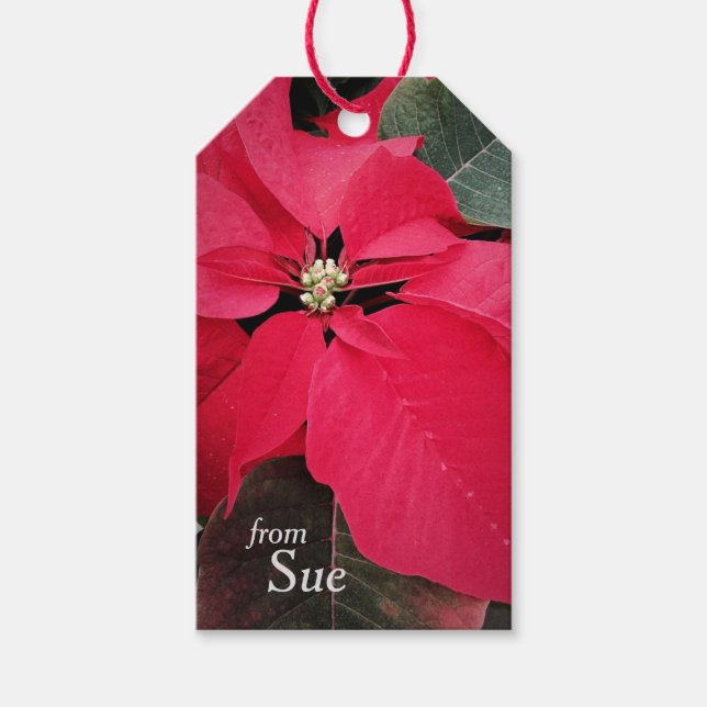 Poinsettia Season Custom Gift Tags (Front)