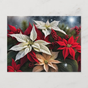 Poinsettia Season's Greetings   Holiday Postcard