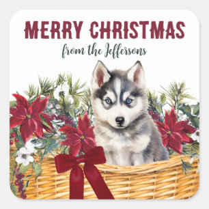 Poinsettia Siberian Husky Christmas Basket Square Sticker