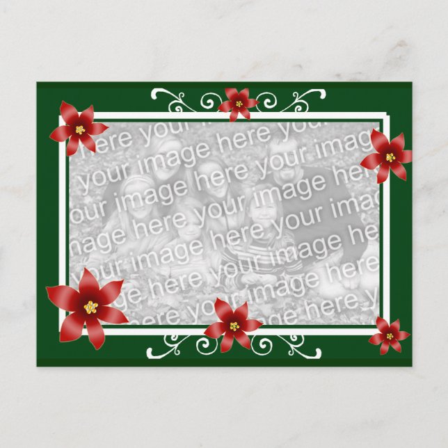 Poinsettia Swirl Frame Postcard (Front)