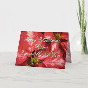 PoinsettiaMC-customise Holiday Card