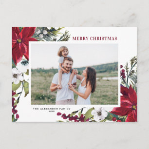 Poinsettias and Fir Leaves Merry Christmas Photo Holiday Postcard