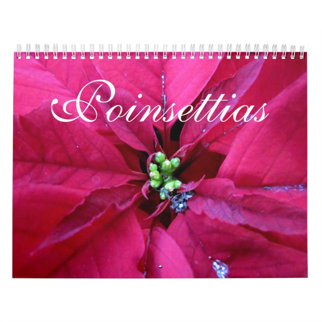Poinsettias Calendar (Cover)
