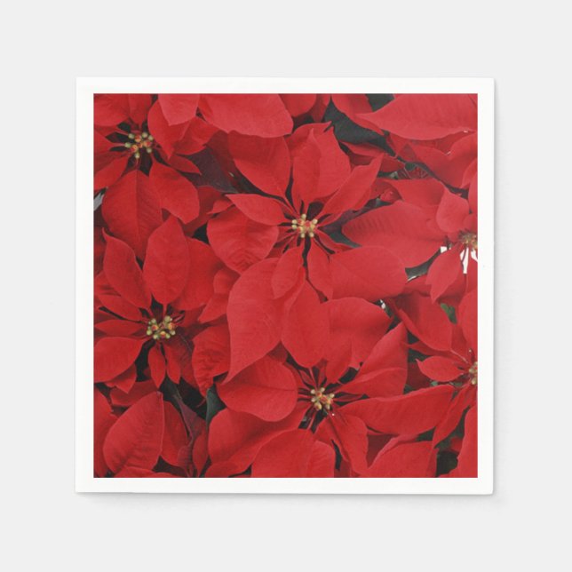 Poinsettias for Christmas Napkin (Front)
