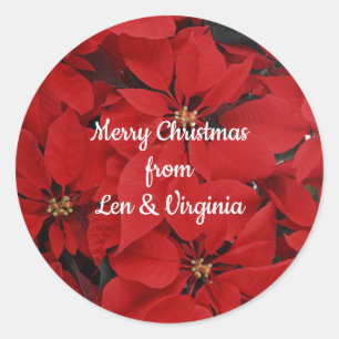 Poinsettias for Christmas, ready to customise Classic Round Sticker