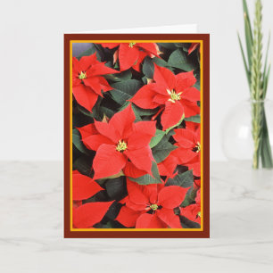 Poinsettias - Vintage Fine Art Card