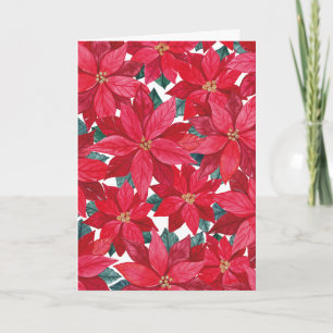 Poinsettias Winter Shelter  Holiday Card