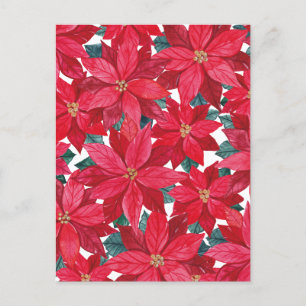 Poinsettias Winter Shelter  Postcard