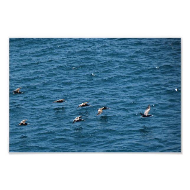Point Dume Photo Print (Front)