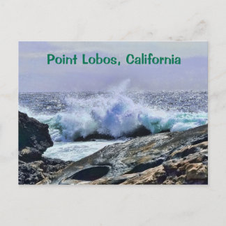Point Lobos Central Coast California Postcard